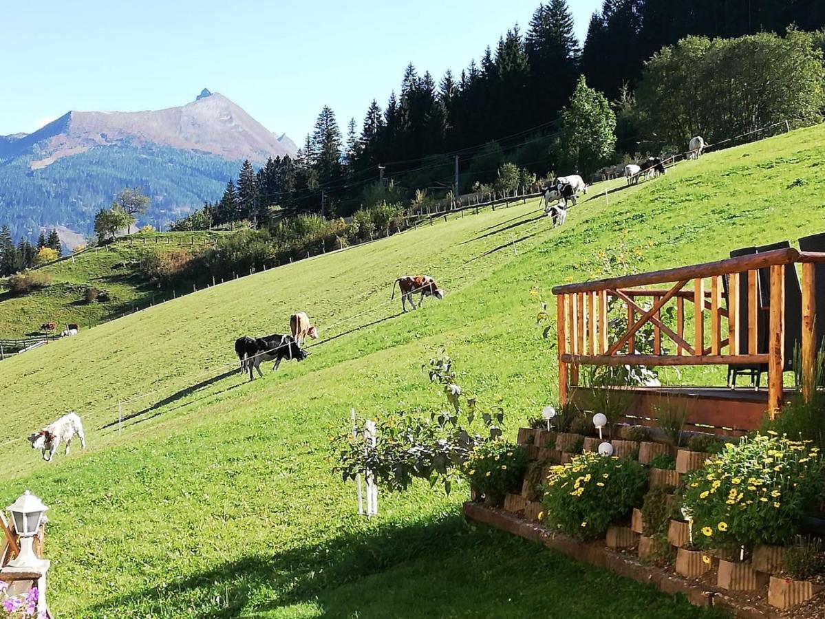 Urlaub Am Krausberghof, Apartment Mit Balkon Und Parkplatz, Inmitten Der Natur, Sauna Und Infrarotkabine, Kostenfreie Kaffeekapseln, 6 Fahrminuten Zur Alpentherme Gastein Und Zur Schlossalmbahn, Spielplatz Bad Hofgastein Εξωτερικό φωτογραφία