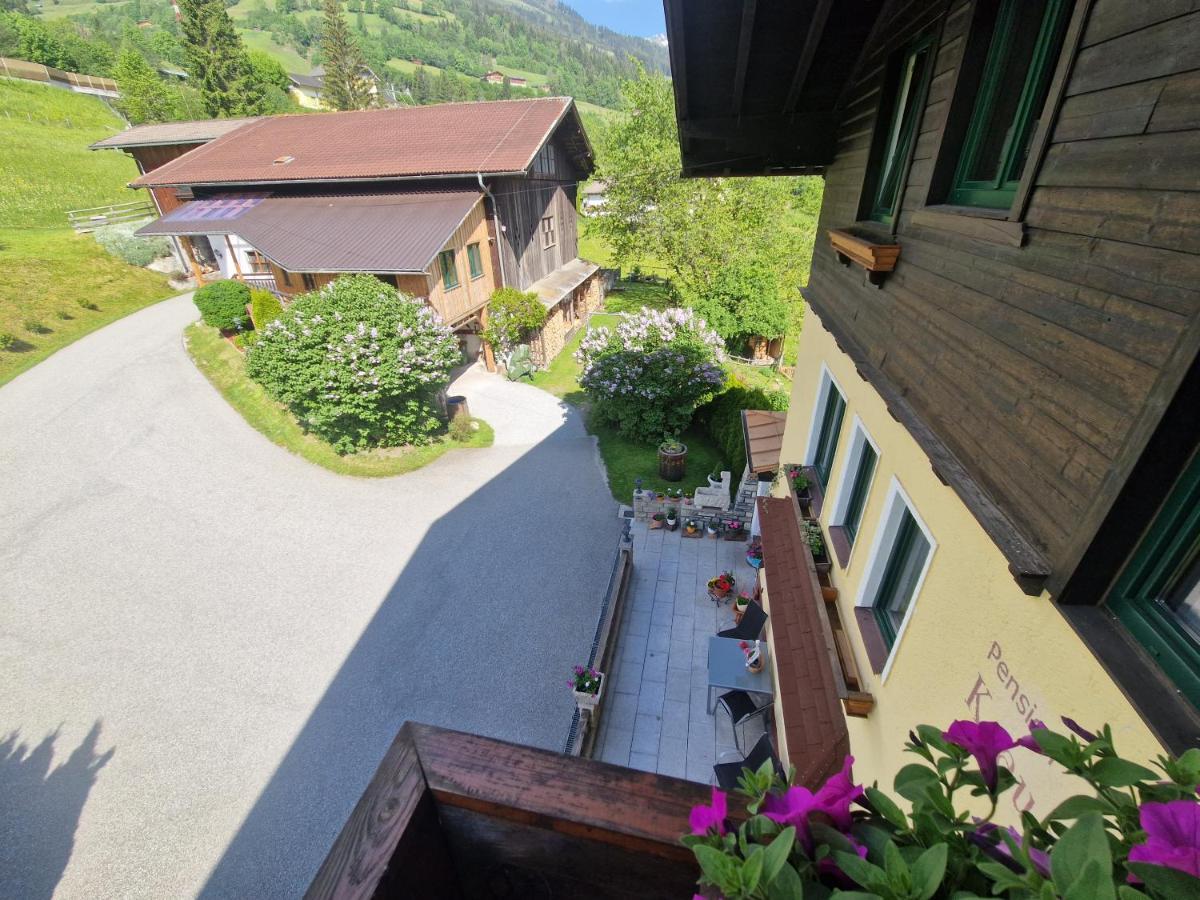 Urlaub Am Krausberghof, Apartment Mit Balkon Und Parkplatz, Inmitten Der Natur, Sauna Und Infrarotkabine, Kostenfreie Kaffeekapseln, 6 Fahrminuten Zur Alpentherme Gastein Und Zur Schlossalmbahn, Spielplatz Bad Hofgastein Εξωτερικό φωτογραφία