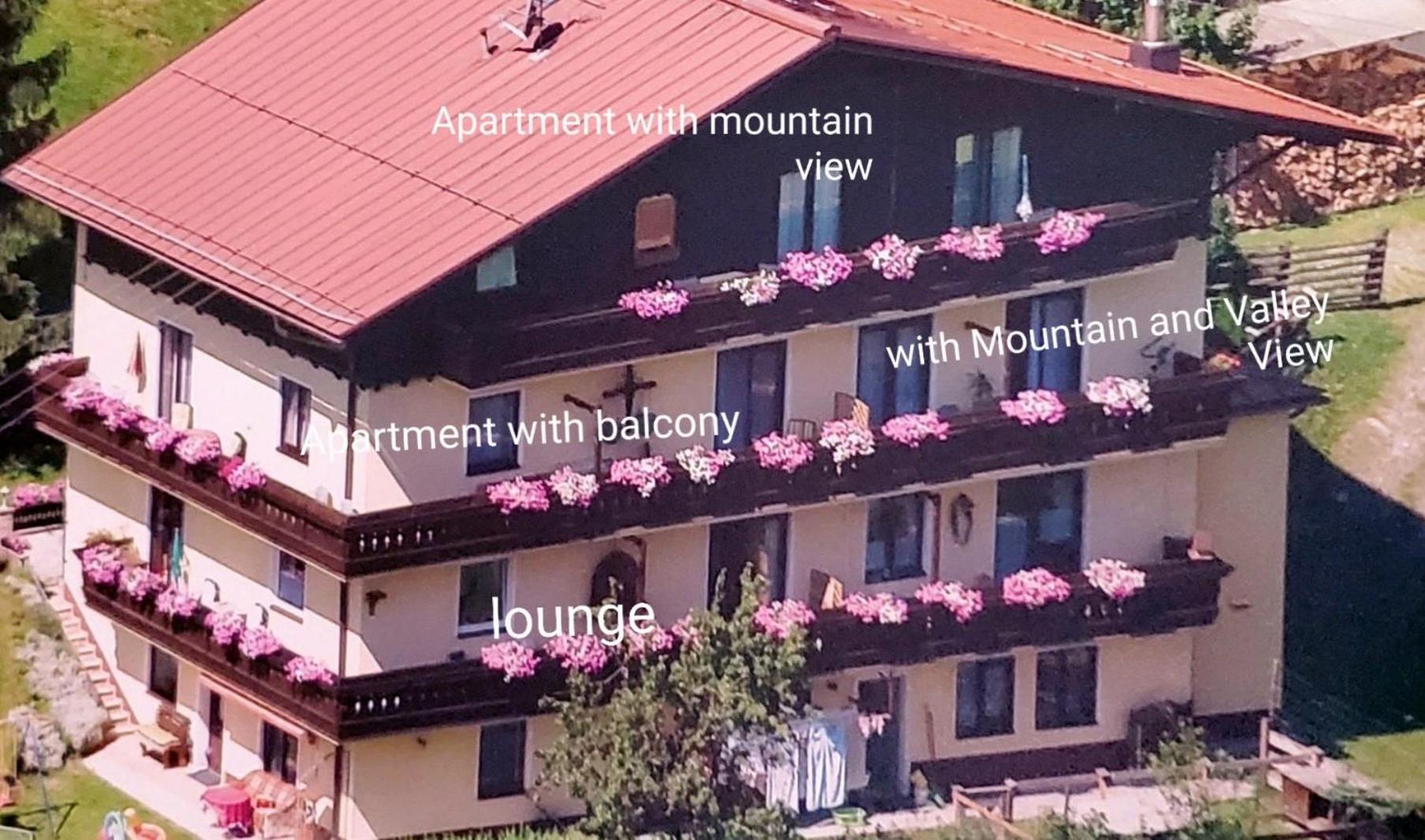 Urlaub Am Krausberghof, Apartment Mit Balkon Und Parkplatz, Inmitten Der Natur, Sauna Und Infrarotkabine, Kostenfreie Kaffeekapseln, 6 Fahrminuten Zur Alpentherme Gastein Und Zur Schlossalmbahn, Spielplatz Bad Hofgastein Εξωτερικό φωτογραφία