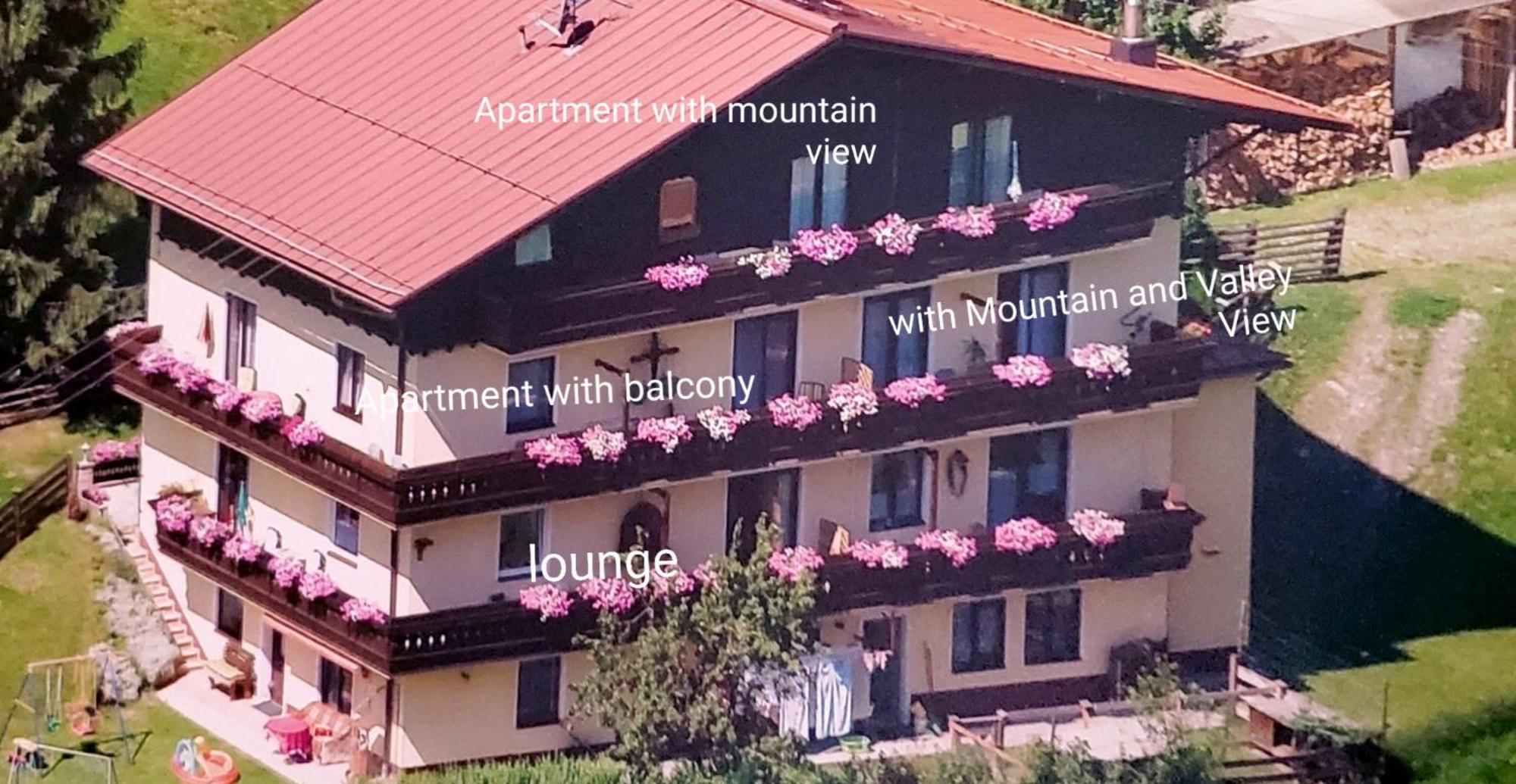 Urlaub Am Krausberghof, Apartment Mit Balkon Und Parkplatz, Inmitten Der Natur, Sauna Und Infrarotkabine, Kostenfreie Kaffeekapseln, 6 Fahrminuten Zur Alpentherme Gastein Und Zur Schlossalmbahn, Spielplatz Bad Hofgastein Εξωτερικό φωτογραφία